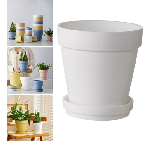 Planta De Maceta De Flores De Flor, Novedad, Olla De Vivero