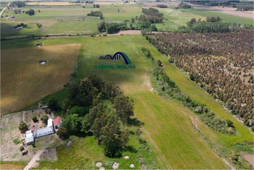 En Venta. 10 Ha Agrícolas - Ganadera.ubicación Estratégica.