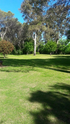 Imagen 7 de 14 de Vende Financia Permuta Quinta 4500 M2 Casa 4 Amb - Olivera
