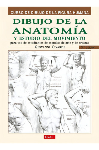Dibujo Anatomia Estudio Del Movimiento