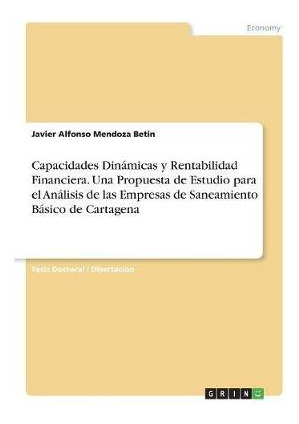 Libro Capacidades Din Micas Y Rentabilidad Financiera. Un...