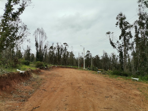 Sitio Con Vista A Quebrada , Entorno Natural Privilegiado