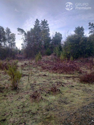 Parcela En Venta En Yungay