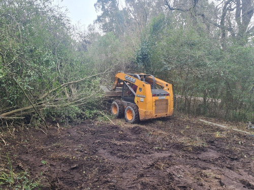 Imagen 2 de 5 de Limpieza De Terrenos. Lujan.rodriguez.moreno.pilar