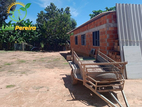 Imagem 7 de 9 de Fazenda À Venda Em Natividade - To- De 210 Alqueirões (pecuária) - 1743