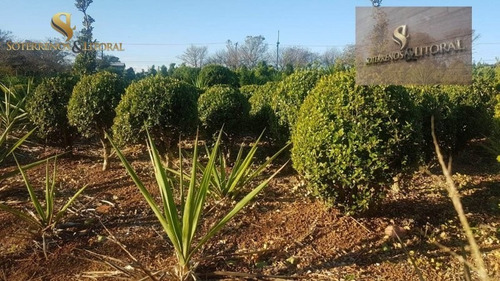 Imagem 10 de 15 de Chácara ¿ Suzano -sp - Chácara A Venda No Bairro Suzano - Suzano, Sp - 247