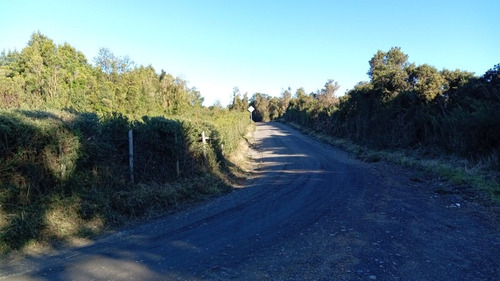 Se Vende Media Hectárea En San Javier, Curaco De Velez