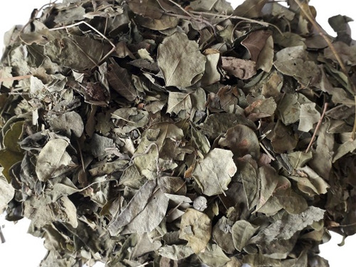 Moringa Oleífera El Árbol De La Vida, Hojas Secas Por 100gr