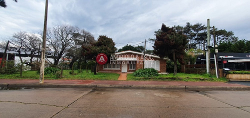 Punta Del Este, Área Comercial Pda. 5- Ref: 6710