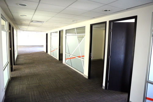 Imagen 4 de 9 de Oficinas En Renta En Residencial San Agustín Sector, San Pedro Garza García