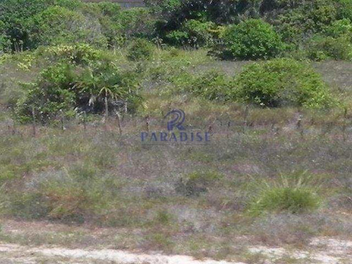 Imagem 7 de 8 de Sítio, Área Rural De Camaçari, Camaçari - R$ 250 Mil, Cod: 23900 - V23900