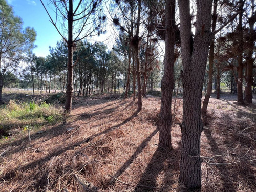 Imagen 15 de 15 de Venta Terreno Financiable Lomas De Solymar Canelones