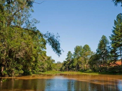 Imagem 2 de 2 de Terreno Residencial À Venda, Condomínio Saint Patrick - Te0036 - 68031413
