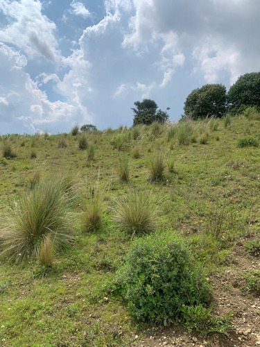 Terreno En Venta, Calimaya Estado De México