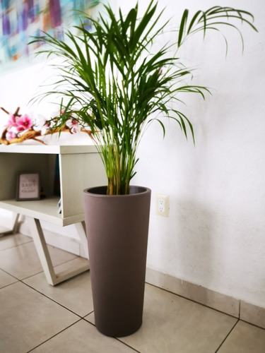 Maceta Minimalista De Plástico Para Exterior Ficus 60