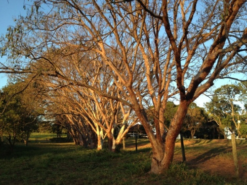 Fazenda À Venda Em Marabá Paulista - Fa00121 - 69026817