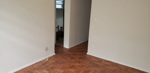 Apartamento Para Aluguel, 2 Quartos, 1 Vaga, Botafogo - Rio De Janeiro/rj - 26880