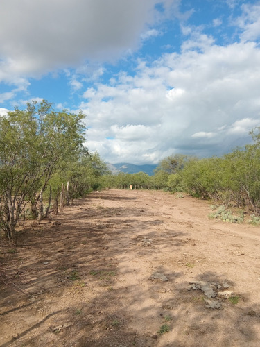 Mega Oportunidad!!!venta De Lotes En La Punta San Luis