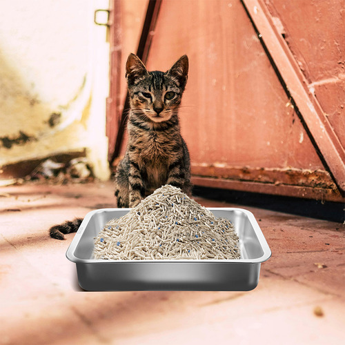 Caja De Arena Para Gatos De Acero Inoxidable Cat Toys