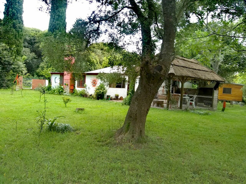 Imagen 1 de 14 de Casa En Alquiler En Punta Indio