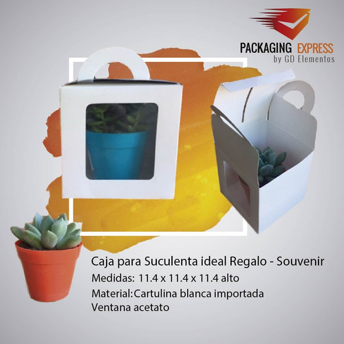 Caja Para Suculentas Regalos Souvenirs Pack X 50 C/ventana