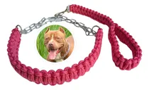 Comprar Coleira Pit Monster Guia Unificada Cães Grande Pit Bull