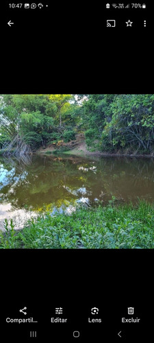 Fazenda Com Ótima Localização
