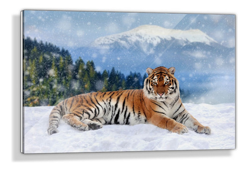 Cuadro De Acrílico Tigre Sobre Nieve 60x90cm