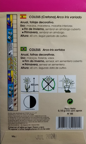 Imagen 2 de 2 de 350 Semillas Coleus (cretona) Arco Iris Mix Calidad Premium