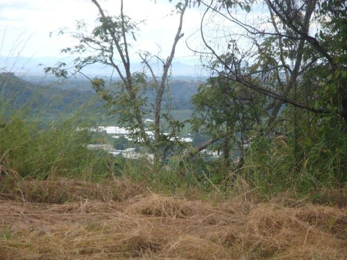 Imagen 9 de 14 de Karen Freites Rentahouse Mp 22f8223 Colinas De Guataparo