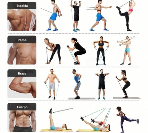 Bandas Elásticas De Resistencia Entrenamiento Yoga Fitness