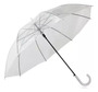 Terceira imagem para pesquisa de guarda chuva