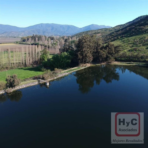 Imagen 11 de 21 de Venta Terreno 7500 M2 Con Bosque, En Idahue ¡mejor Precio!