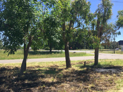 Imagen 8 de 15 de Venta De Terreno En Ruta 2 Km 52. Apto Comercial.