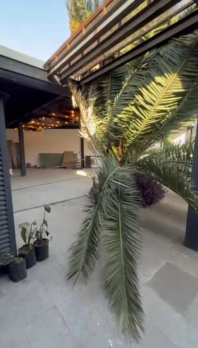 Excelente Local En Renta - Jardines Del Pedregal