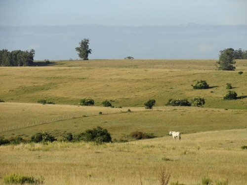 Campo En Venta En Garzón Rural