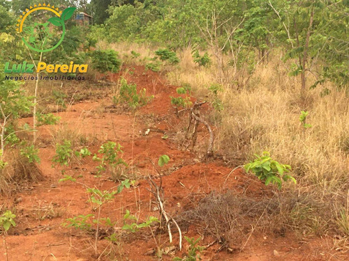 Imagem 14 de 14 de Fazenda À Venda Em São Valério - To - 968 Hectares (dupla Aptidão) - 2103