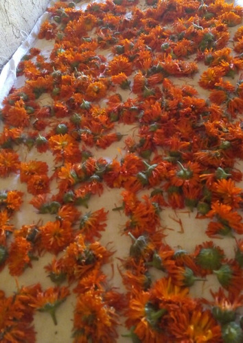 Flores De Calendula Seca. 100% Organico. 250 Gr