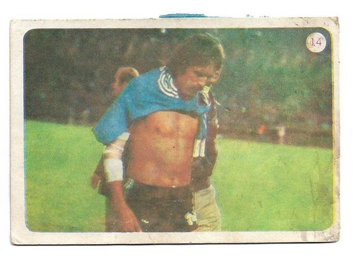 Figurita / Argentina Campeon 1978 / Nº 14
