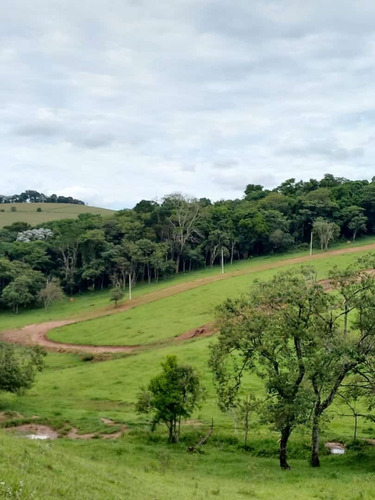 Imagem 2 de 18 de 01o=venha Conhecer Lote Com Bom Preço