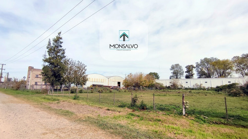 Imagen 9 de 11 de Unico Lote De 2264 M2, Oportunidad