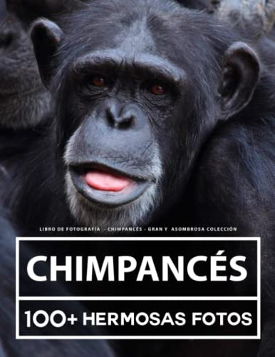 Libro De Fotografia - Chimpances - Gran Y Asombrosa Coleccio