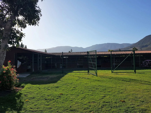 Venta De Terreno En La Cruz  35.000 M2., Plantado Con Palto