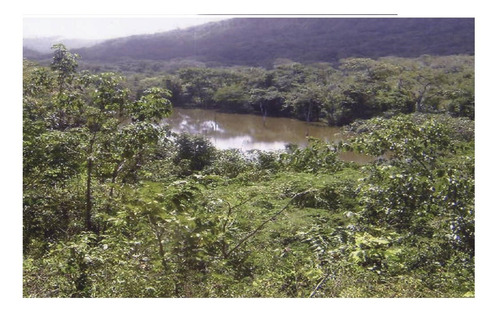 Imagen 7 de 14 de Se Vende Finca Agropecuaria - Cerca San Juan De Los Morros