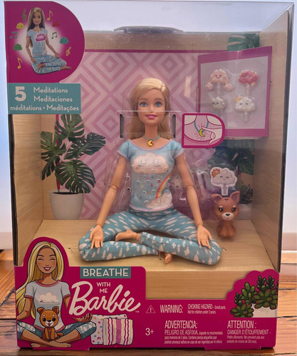 Barbie You Can Be Anything Meditations (Usado)
