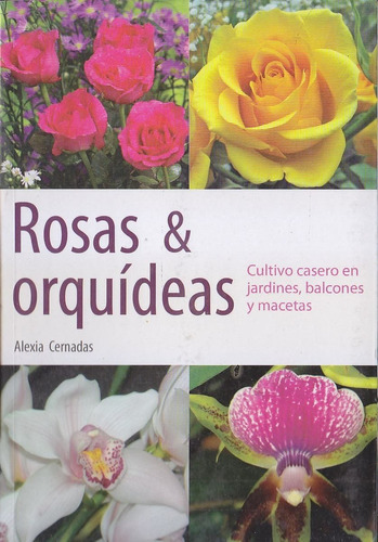 Rosas Y Orquídeas. Alexia Cernadas.