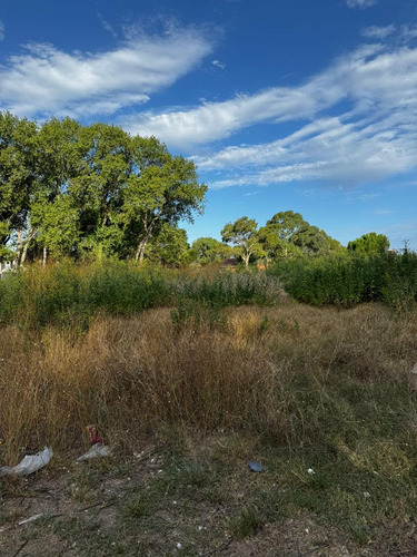 Terreno En Venta En San Bernardo Oportunidad