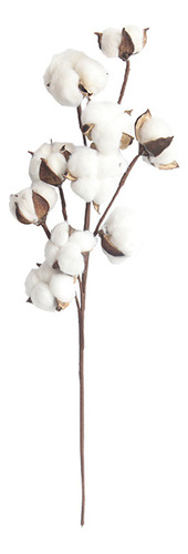 Flor Artificial De 10 Cabezas Con Tallos De Algodón Seco Est