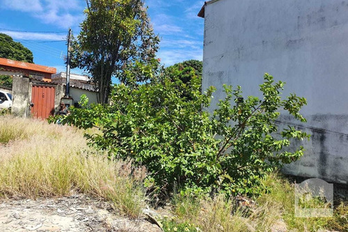 Imagem 4 de 6 de Lote À Venda No Renascença - Código 275822 - 275822
