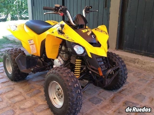Can Am 250cc Ds